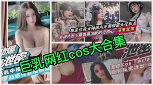 巨乳网红cos大合集都是大圆奶