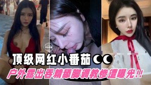 撸点极高-顶流网红被包养户外露出舔脚吞精等调教惨遭粉丝曝光网红小番茄的世界末日