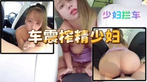 少妇拦车车震榨精少妇