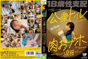 SDAB-341 SNSで出会ったクズ男にハマった結果、公衆トイレでさくっとヌくための肉おナホ要員にされた18歳