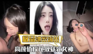 极品泄密流出高颜值校花级窈窕女神