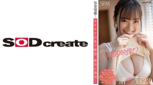 107STZY-008 まだ芸能界にいたときのハメ撮り映像！？ 渚恋生(23)