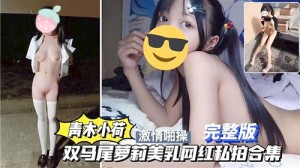 青木小荷双马尾萝莉美乳网红私拍合集