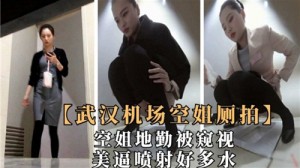 武汉机场空姐厕拍美逼喷射好多水
